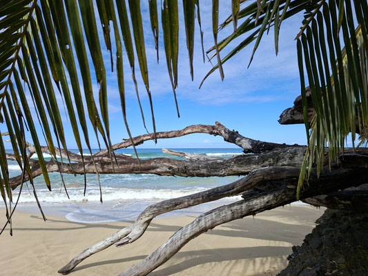 Isla Bastimentos