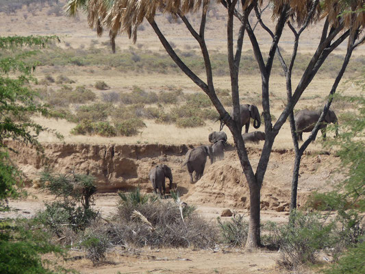 Samburu, Kenia