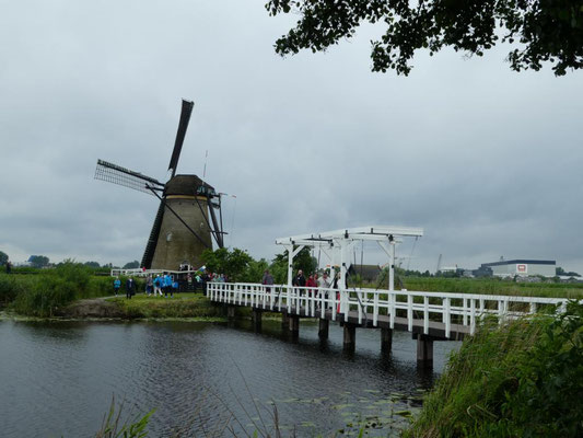 Windmühlen in Kinderdijk