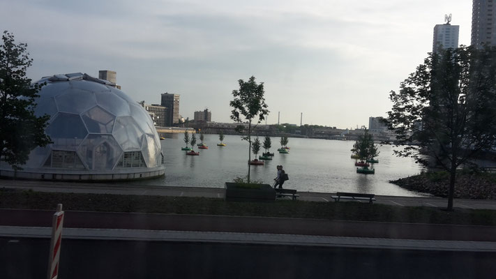 Experiment in Rotterdam: kann man einen Wald auf dem Wasser pflanzen?