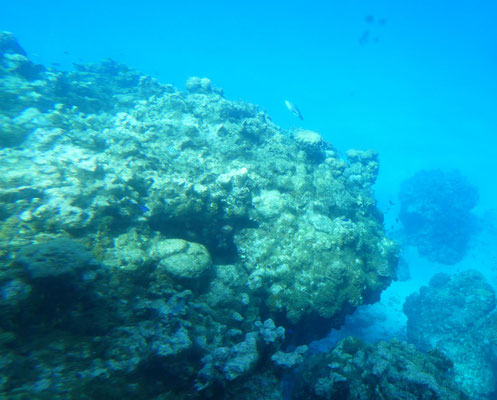 Kittiwake-Wrack vor Grand Cayman aus dem Halb-U-Boot