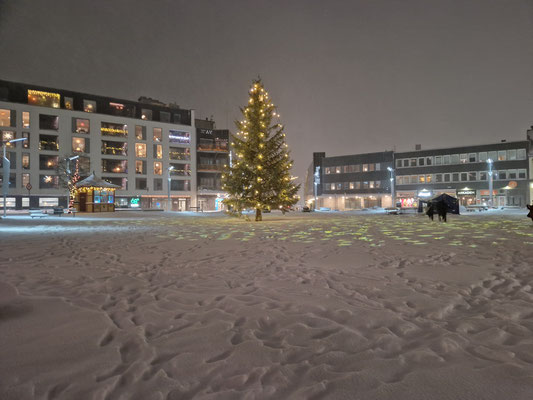 ganz schneller Landgang in Svolvær