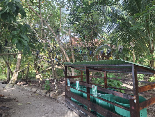Recyclingstation - alte Flipflops gehören in den Baum