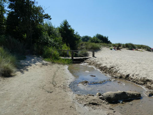 Plage d'Honfleur