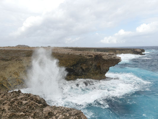 Blowhole in Aktion