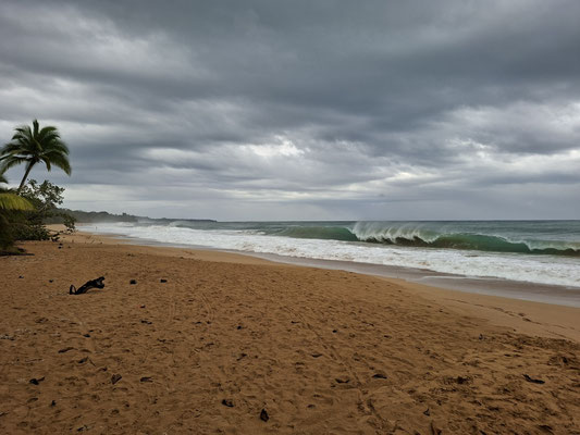 Bluff Beach