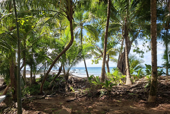 Corcovado-Nationalpark