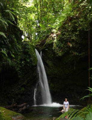 Wasserfall, Dominica