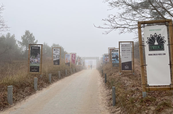 naja, wir hatten nichts anderes erwartet im Februar auf Usedom