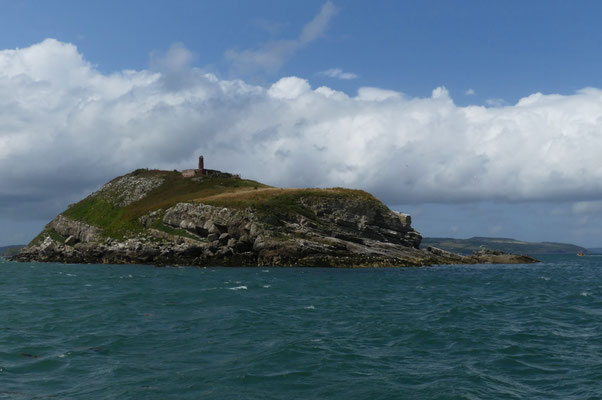 Puffin Island