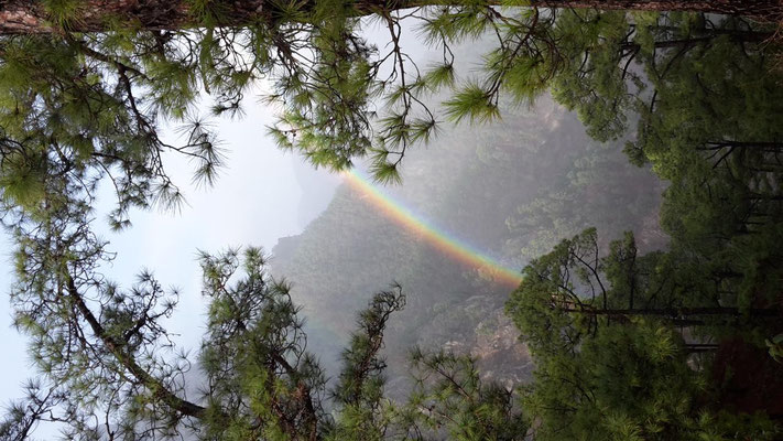 La Palma, Spanien