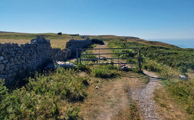 ob das Tor so viel bringt...?