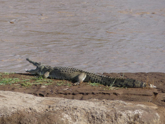 Samburu, Kenia