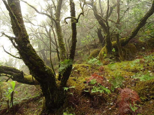 La Gomera, Spanien