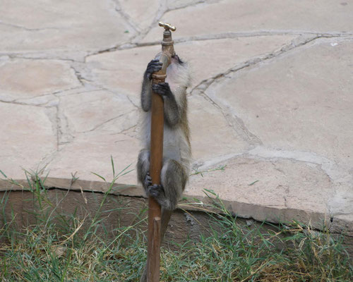 Samburu, Kenia