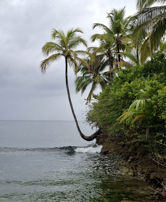 Isla Carenero
