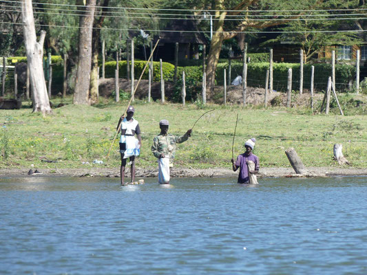 Lake Naivasha, Kenia