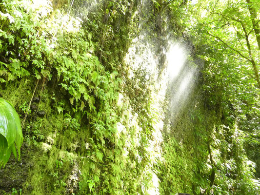 Weeping Wall, Dominica