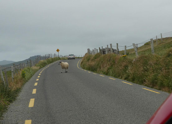 Wicklow Way