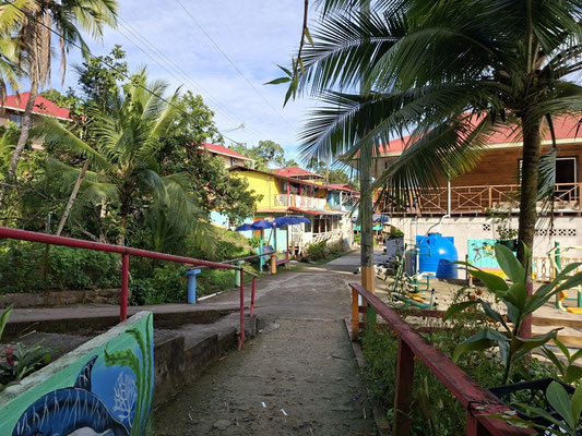 Sehr bunte Nachbarschaft auf der Isla Bastimentos