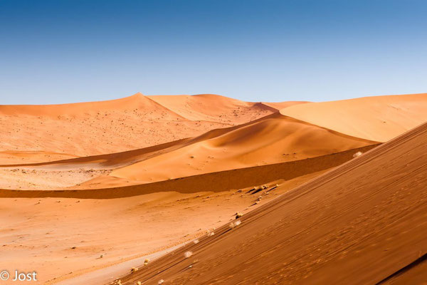 Namib Wüste