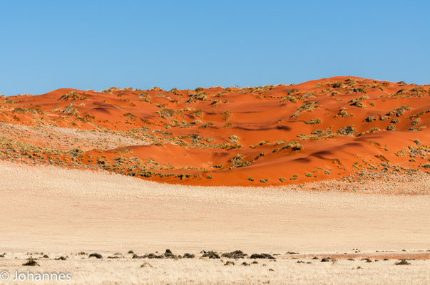 Namib Wüste