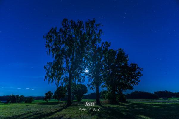 Magisches Mondlicht