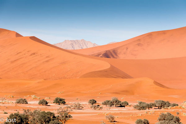 Namib Wüste
