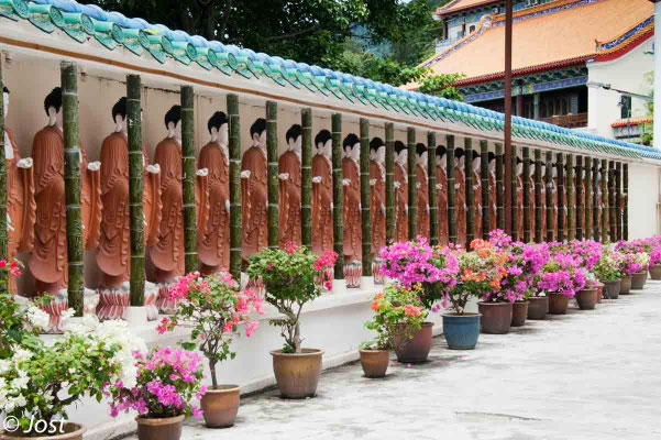 Kek Lok Si  Buddhist Temple   - Penang George Town