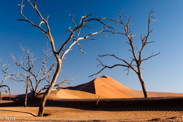 Namib Wüste