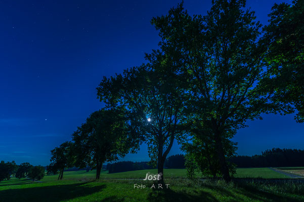 Magisches Mondlicht
