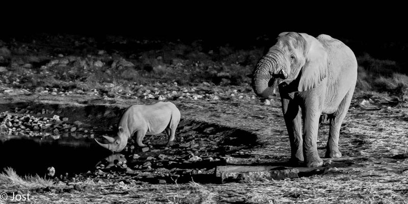 Namibia Etosha