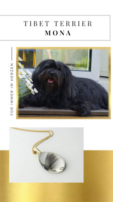 Mona, eine kleine bezaubernde Tibet Terrier Hündin. Ihr Frauchen Kerstin hat sich diesen wunderhübschen Anhänger anfertigen lassen um Mona weiterhin bei sich zu haben. RIP du kleiner Schatz!