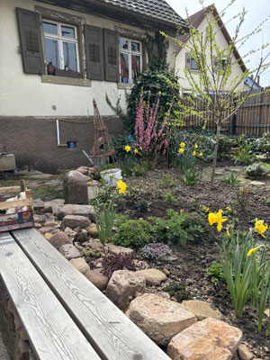 der Frühling meldet sich an