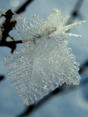 Eiskristalle 
