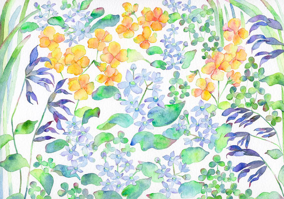 2016年「Water garden」　水彩