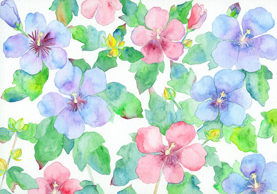 2016年「夏の彩り」　水彩