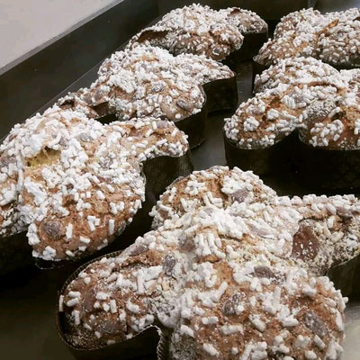 Colomba