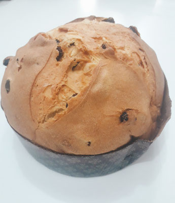 Panettone basso milanese, preparato come da ricetta originale.