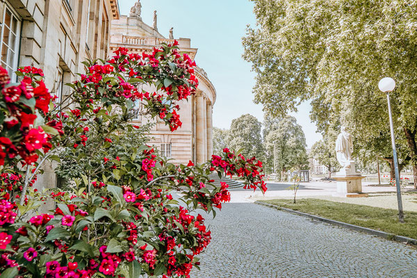 Du suchst die schönsten Sehenswürdigkeiten in Stuttgart, gute Tipps und die besten Cafés in Stuttgart? Mit meinen Geheimtipps stellst du dir einen tollen Städtetrip nach Stuttgart zusammen. 