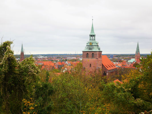 Michaeliskirche vom Kalkberg