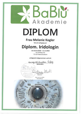 Diplom Iridologie - ausgezeichneter Erfolg - Danke Vistara Haiduk & Bablü Akademie