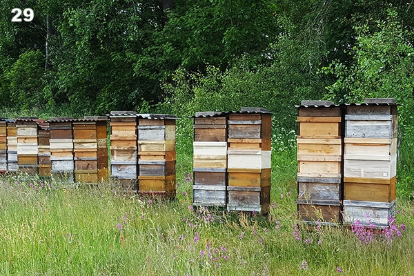 Leistungsprüfstand in Fimmerstad.