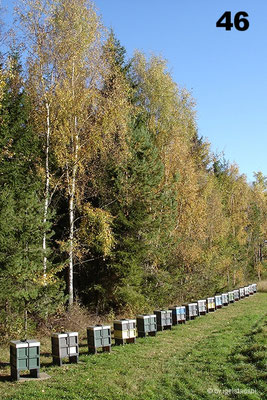 Überwinterungsstand in Brevik.