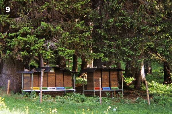 Wanderstand in Lech.