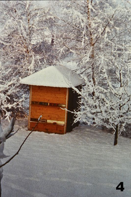 Das erste Bienenhaus.
