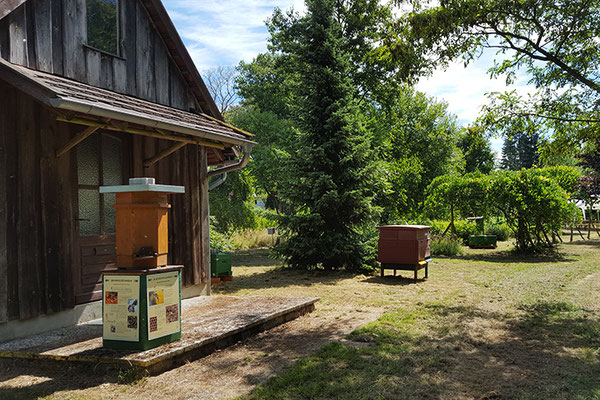 Bienenmuseum mit Schaubeute.