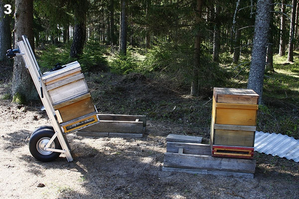 Neuer Standort - Bienentransport mit ApiLift.