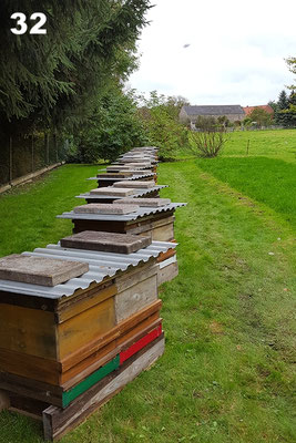 Unser Heimbienenstand in der Prignitz - Pinnow bei Karstädt.