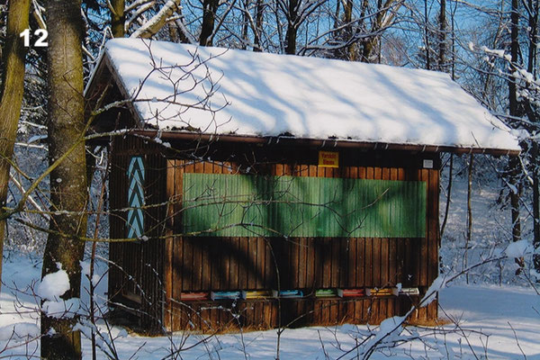 Mein Bienenhaus in der "Lutta" in Koblach.
